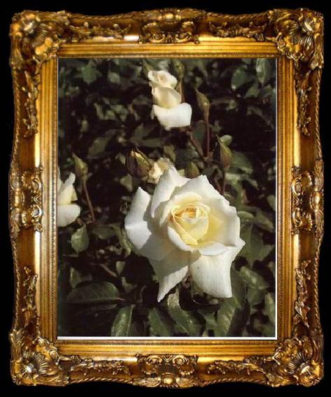 framed  unknow artist Still life floral, all kinds of reality flowers oil painting  375, ta009-2